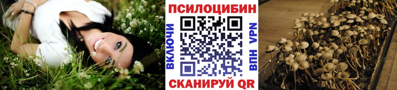 хочу   Ясногорск  Галлюциногенные грибы Magic Shrooms 